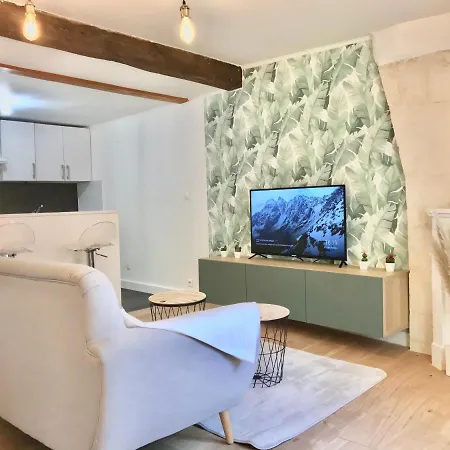 Jungle Cosy Appartement Niort